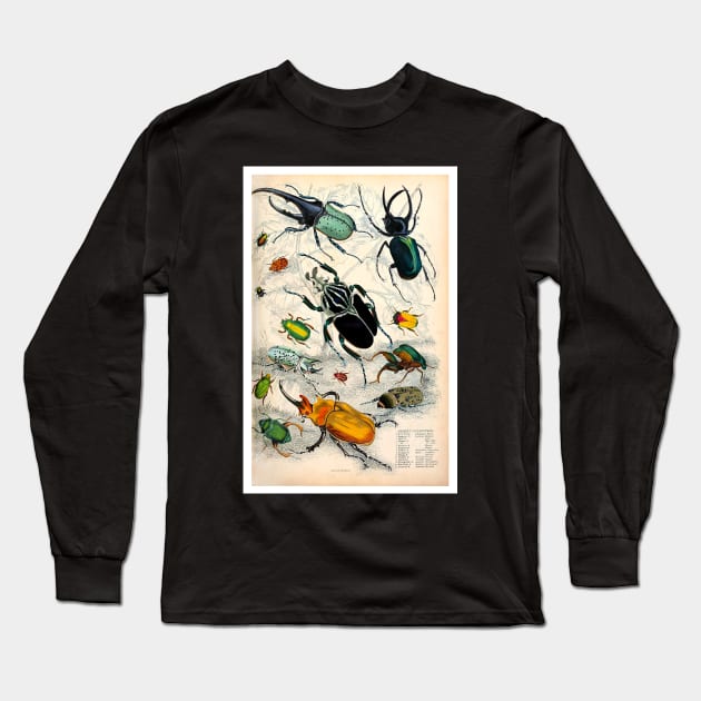 Orderv. Coleoptera | Beetles Print Long Sleeve T-Shirt by ArtShare